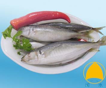 sea food fish Cameroon sea food fish price supplier 21food