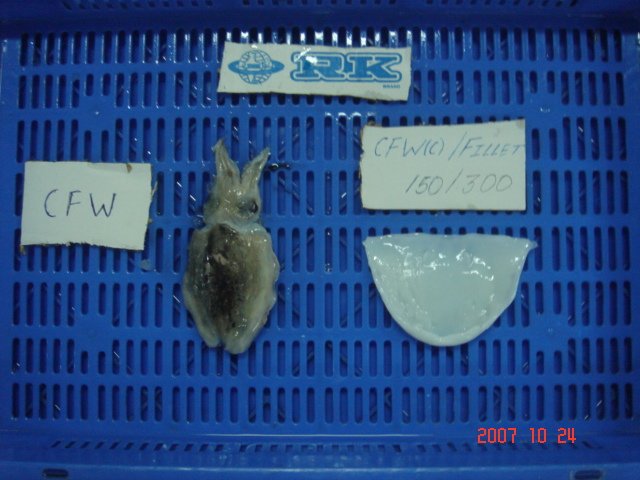 Cuttle  fish -fillet