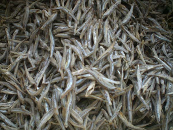 DRIED SALTED ANCHOVY HEADLESS GUTTED