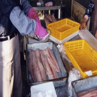 Fresh Fish Process5