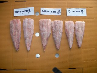 Monkfish fillet