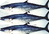  chilled   fish 