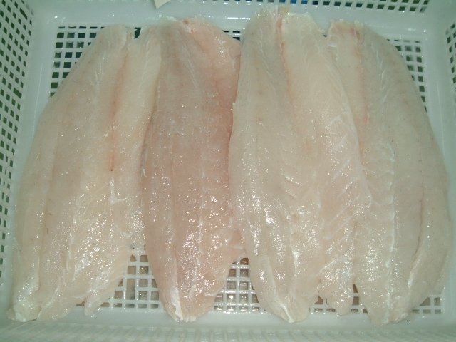 FROZEN BARAMUNDI FILLET