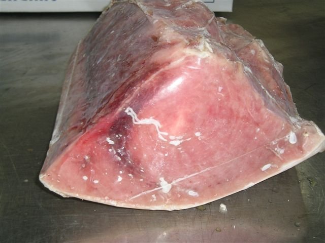 SWORDFISH-ALBACORA-PEZ ESPADA