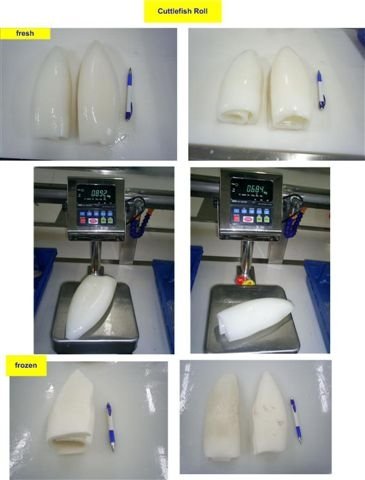  Frozen   Cuttlefish   Fillet 