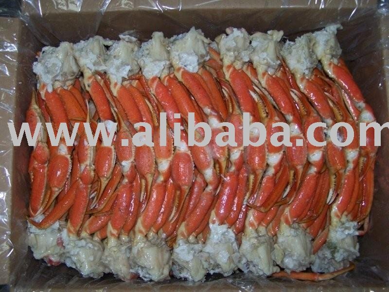 Frozen Snow Crab, Capelin, Mackerel From Canada