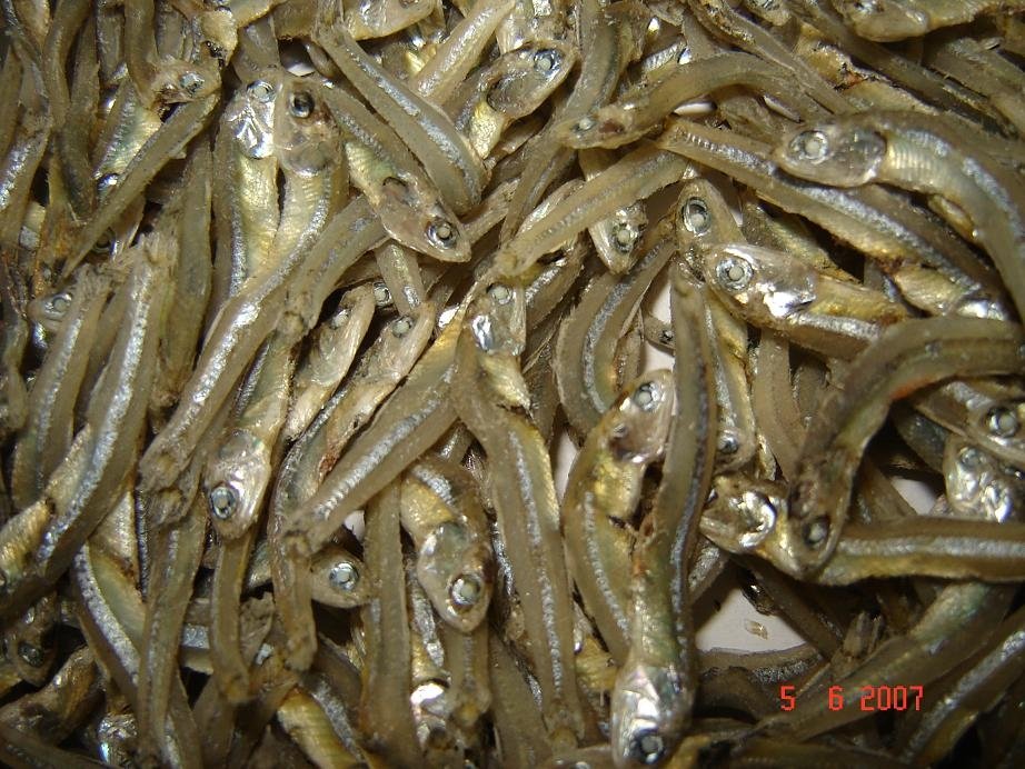 Dried Anchovy