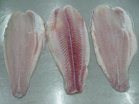 pangasius hypothlamus fillet steak WR