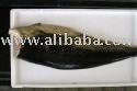 Skin-on fillet Cobia