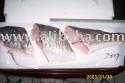 Skin-on red drum fillets