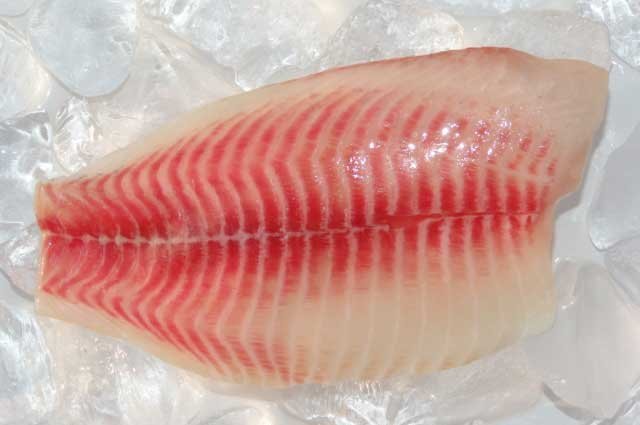 Frozen Tilapia