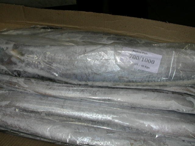 Frozen Ribbon Fish
