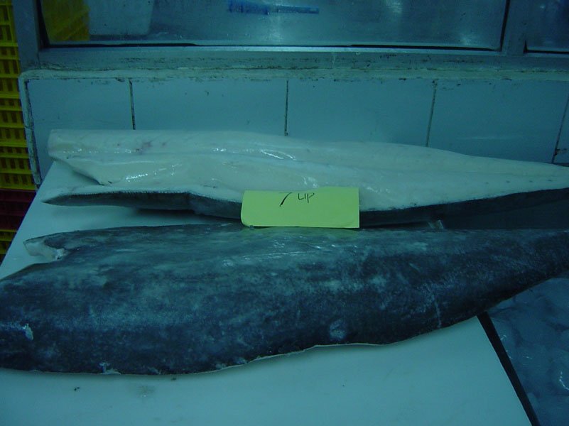 Frozen Oilfish fillet