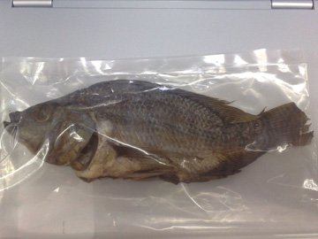 Dried Smoke Tilapia Whole