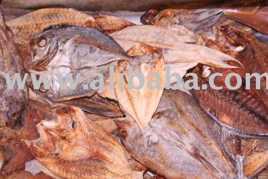 Salty Fish