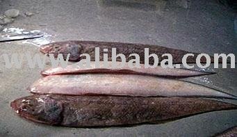 Frozen LONG TONGUE SOLE Fish