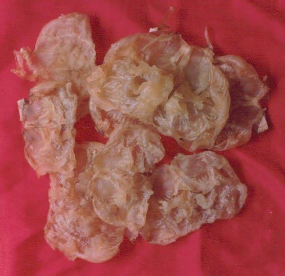 Dry Cat Fish Maws