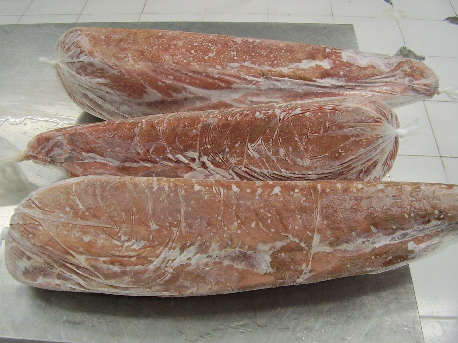 Tuna Loin