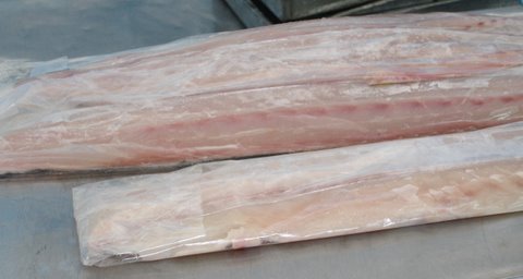 MAHI MAHI