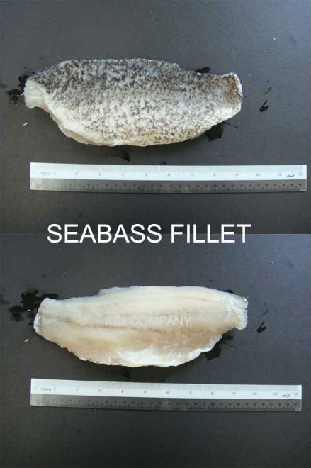 Seabass Fillet