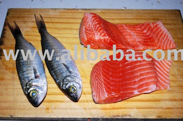 Sardine  fish ,mackerel,el  fish , ribbon   fish ,salmon  fish ,cray  fish 