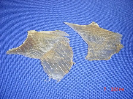 Dried Seasoned Stingray, Flying Fish, Shrimp