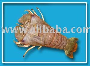 Cray Fish
