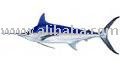 Exotics fish
