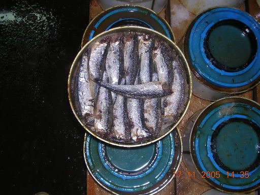 SALTED CANNED ANCHOVY ( A LA VERA CARNE)