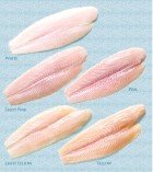 Basa Fillets