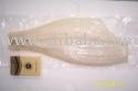 Japanese sea bass fillet
