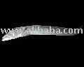 Ribbon Fish