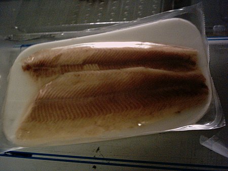 sea bass,Turkey price supplier - 21food