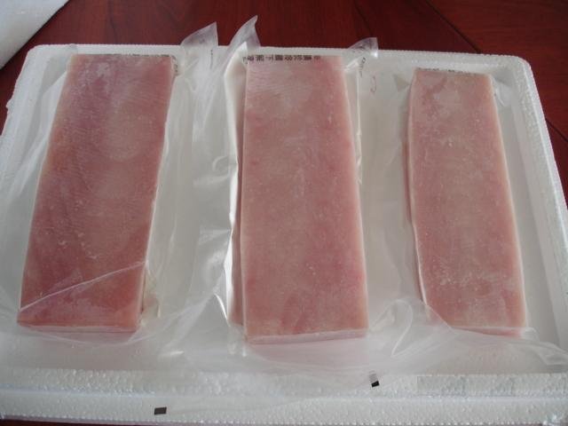 Blue Marlin Saku
