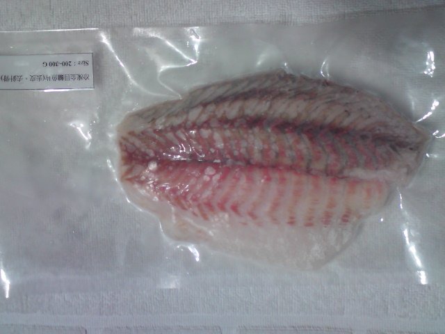Barramundi