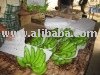FRESH QUALITY CAVENDISH BANANAS