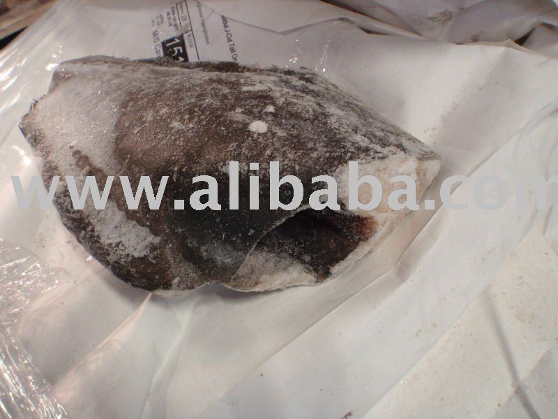 Greenland Halibut