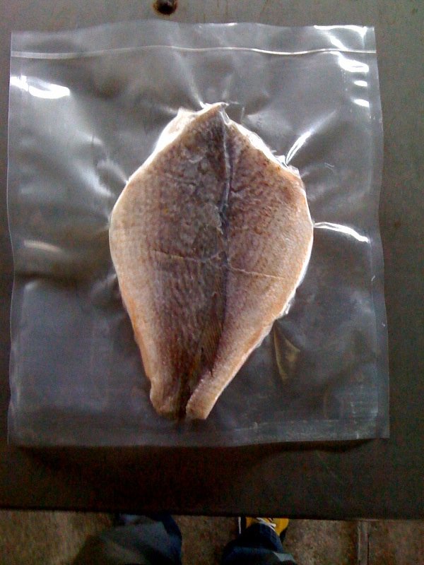 Frozen Fish in bags products,United States Frozen Fish in bags supplier