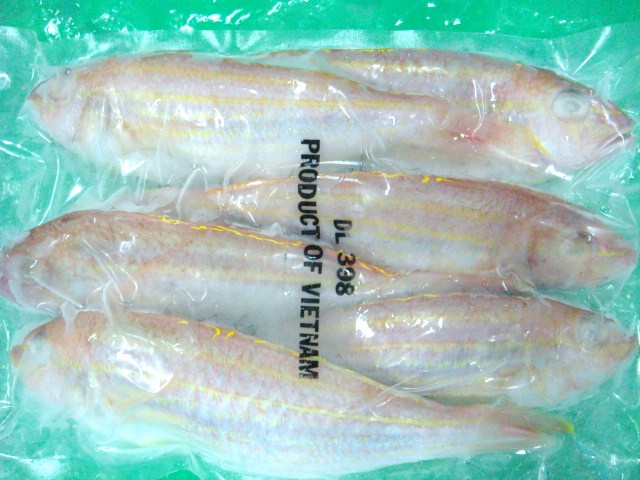 golden threadfin bream fish, golden threadfin bream fish Suppliers