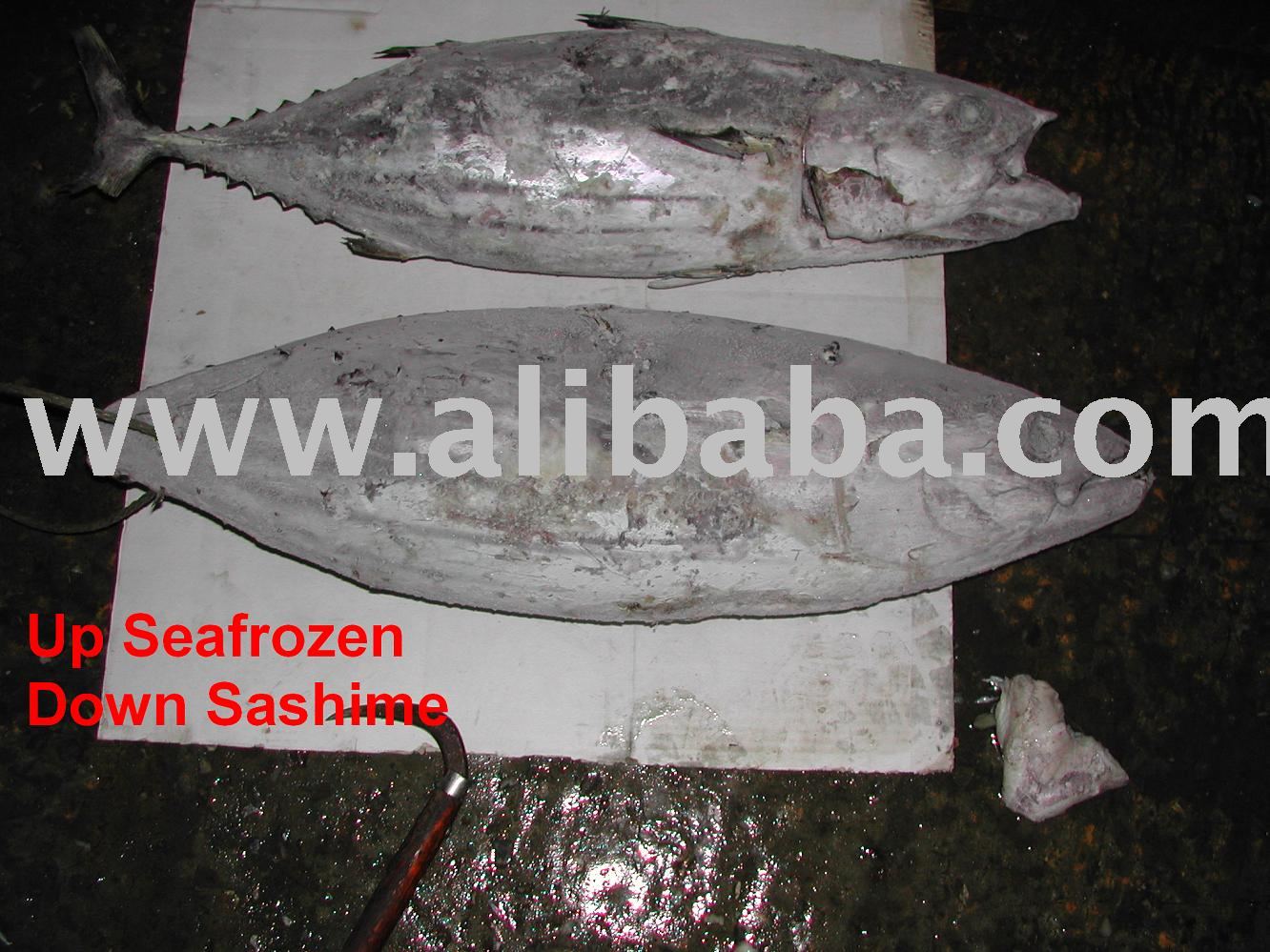 Skipjack Tunataiwan Price Supplier 21food