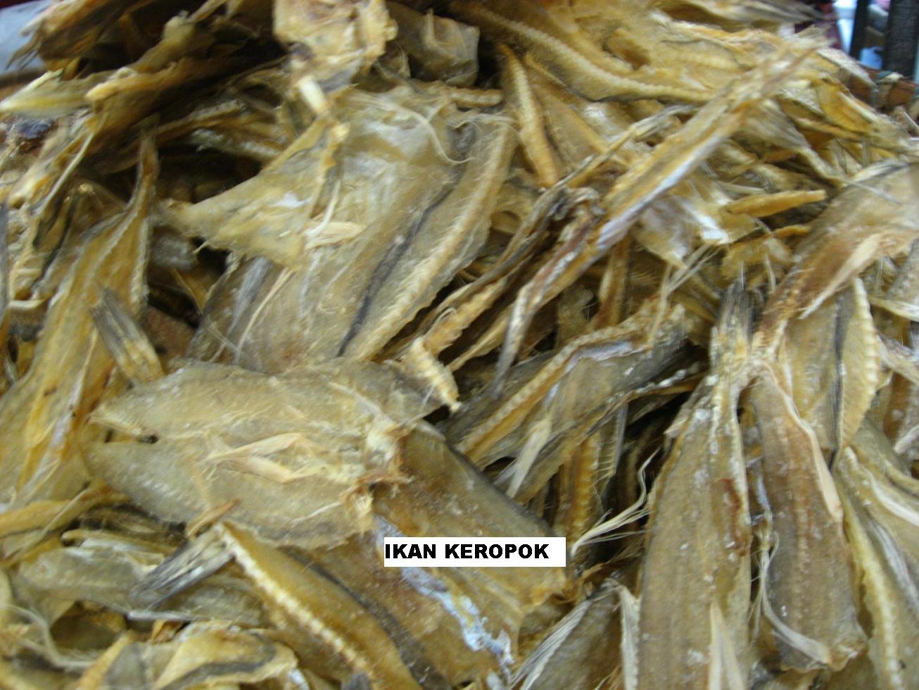 Ikan Keropok Dried Fish Malaysia Ikan Keropok Price Supplier 21food