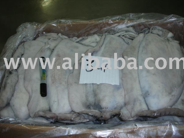 frozen cuttle fish