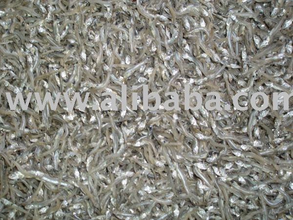 Dried anchovy fish