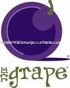 Grape Juice Concentrate ( Red-White)