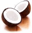 coconut oil and acne