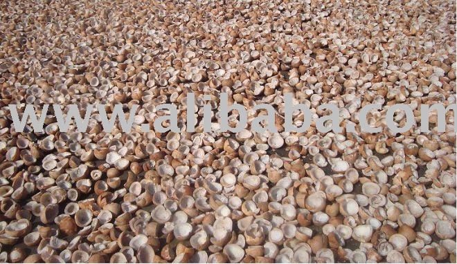 Dry Milling Coconut Copra for OIl Extraction