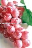 Red - White Grape Juice oncentrate