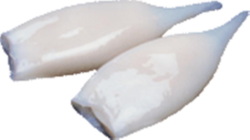 Squid tubs