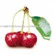 Suor Cherry Juice Concentrate