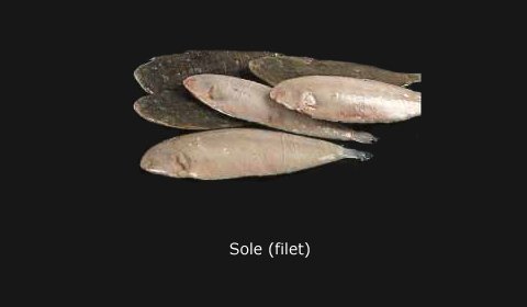 Sole Filet